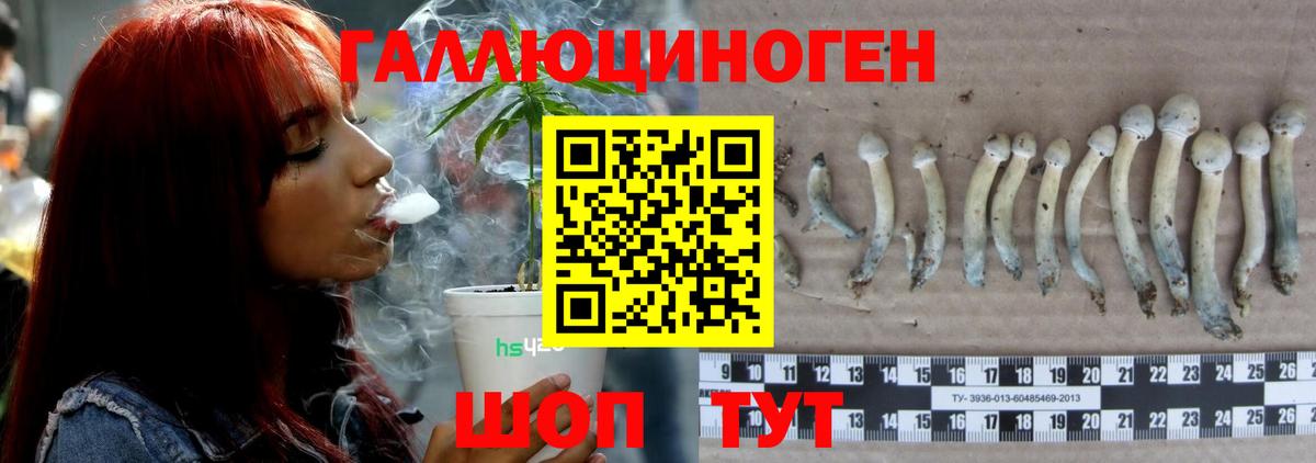 Галлюциногенные грибы MAGIC MUSHROOMS Острогожск